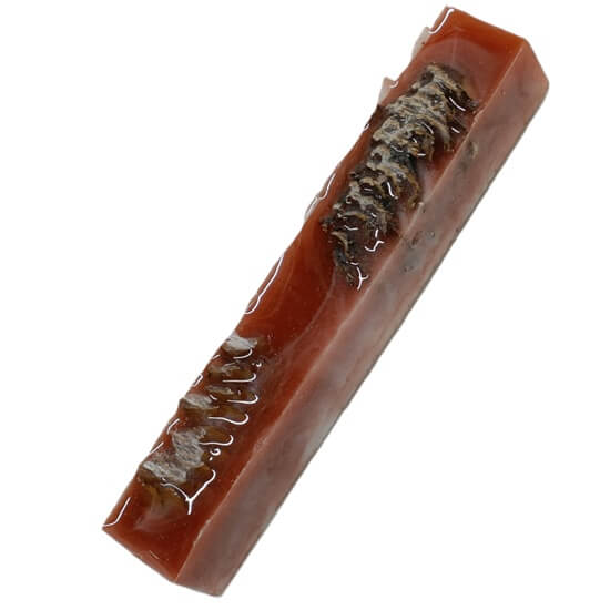 NC10 Resin pen blanks with pine cones